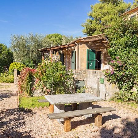 Case Danesi Rio dellʼElba Exterior foto
